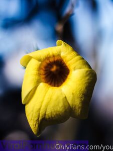 your_submissive_doll Onlyfans Leaks Nude Album - Latest leaks