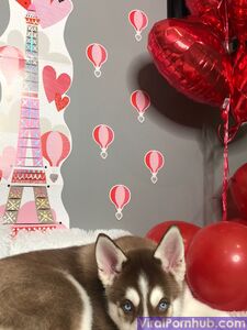 Marley Brinx Onlyfans Leaks Latest Photoset