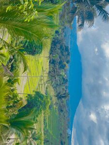 LevanaBanana1 Onlyfans Latest Nudes Leaked Photos