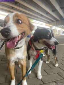 Courtneytailorx Onlyfans Premium Leaks