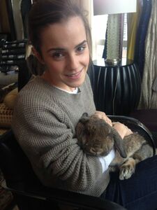 Super Hot Emma Watson Nudes Leaked on the Internet