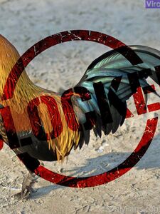 Lena Paul Onlyfans Latest Nude Photo Leaks