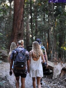 jasminerenee Onlyfans Latest Nude Photo Leaks